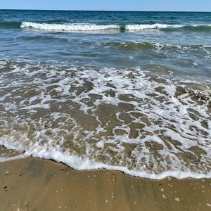 Meet your Posher, Nina